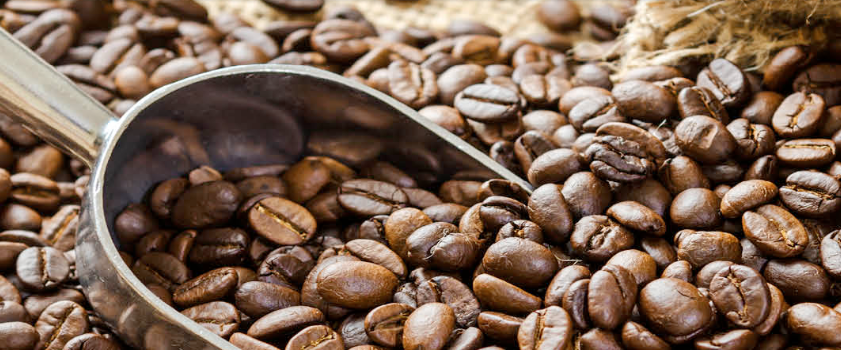 Thực phẩm và đồ uống